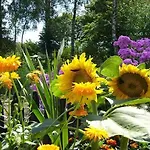 Home, Oasis Of Peace, * Pollnow