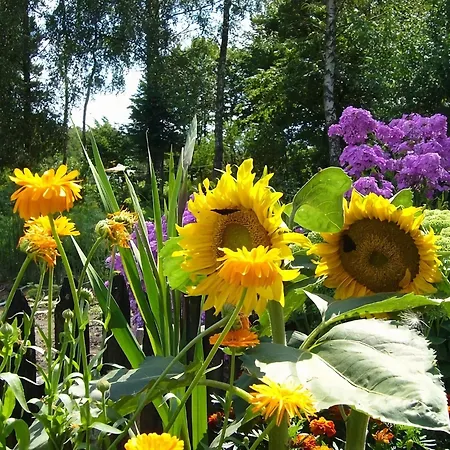 Villa Home, Oasis Of Peace, *