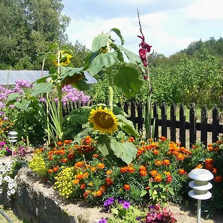 Villa Home, Oasis Of Peace,