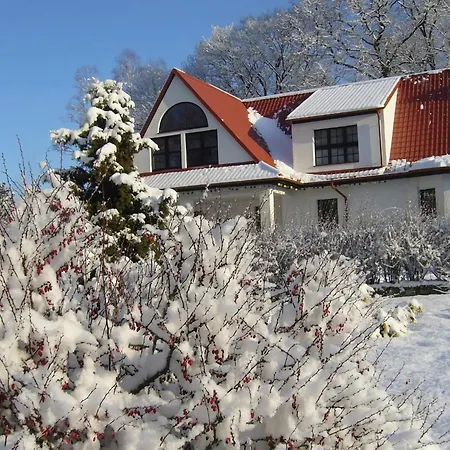 Home, Oasis Of Peace,