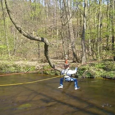 Home, Oasis Of Peace, *