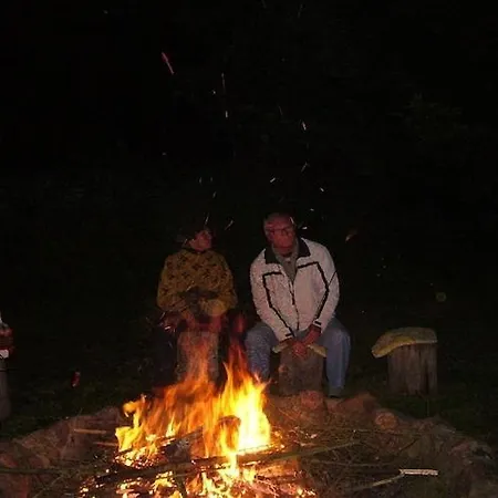 Home, Oasis Of Peace,