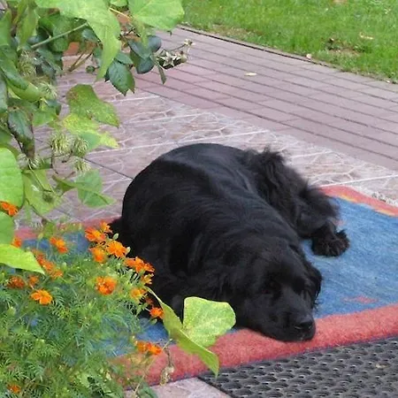 Willa Home, Oasis Of Peace, *