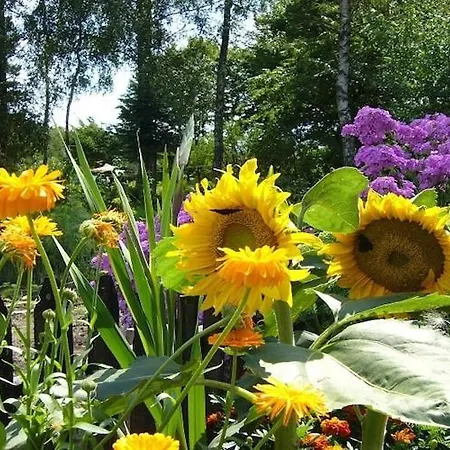 Home, Oasis Of Peace, Pollnow