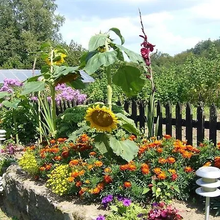 Βίλα Home, Oasis Of Peace, *