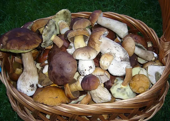 Home, Oasis Of Peace, Villa *