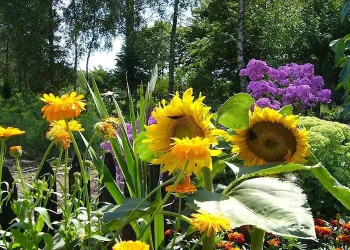 Villa Home, Oasis Of Peace,