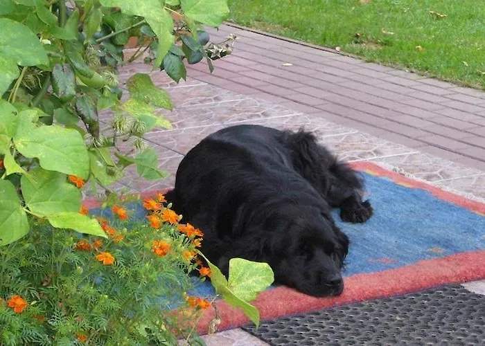 Home, Oasis Of Peace, Pollnow